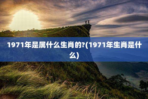 1971年是属什么生肖的?(1971年生肖是什么)
