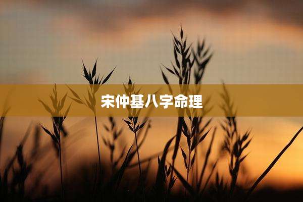 宋仲基八字命理