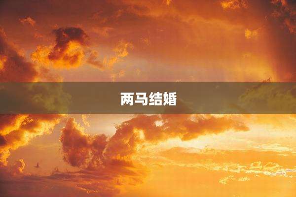 两马结婚