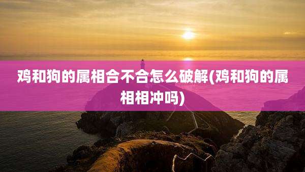 鸡和狗的属相合不合怎么破解(鸡和狗的属相相冲吗)