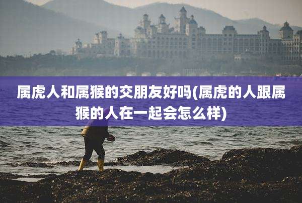 属虎人和属猴的交朋友好吗(属虎的人跟属猴的人在一起会怎么样)