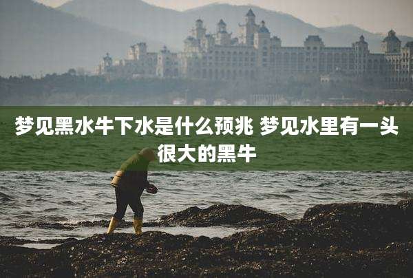 梦见黑水牛下水是什么预兆 梦见水里有一头很大的黑牛