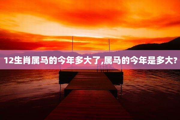12生肖属马的今年多大了,属马的今年是多大?