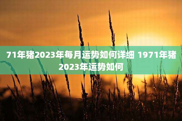 71年猪2023年每月运势如何详细 1971年猪2023年运势如何