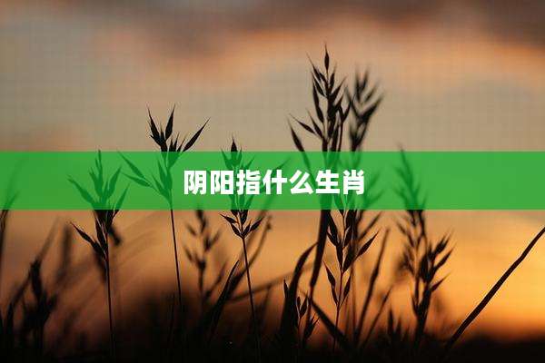 阴阳指什么生肖