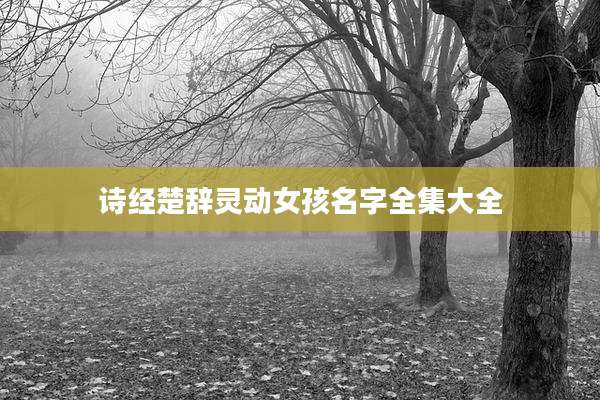 诗经楚辞灵动女孩名字全集大全