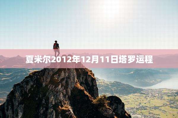 夏米尔2012年12月11日塔罗运程