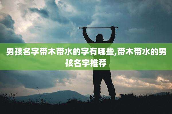 男孩名字带木带水的字有哪些,带木带水的男孩名字推荐