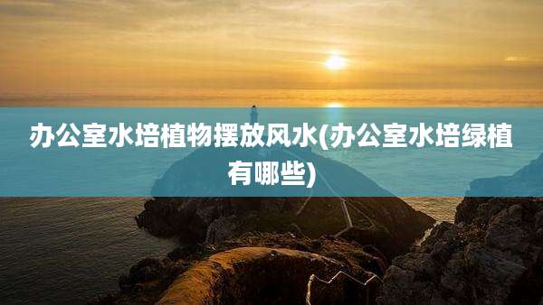办公室水培植物摆放风水(办公室水培绿植有哪些)
