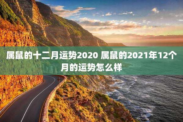属鼠的十二月运势2020 属鼠的2021年12个月的运势怎么样