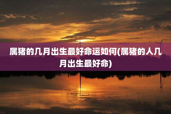 属猪的几月出生最好命运如何(属猪的人几月出生最好命)