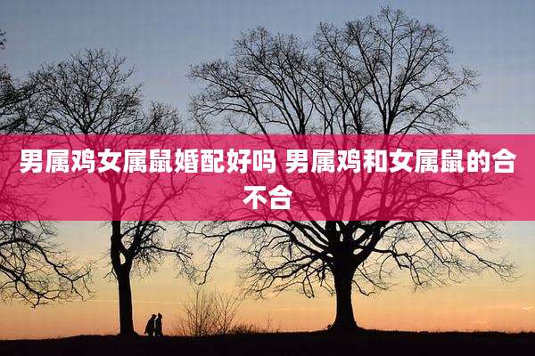 男属鸡女属鼠婚配好吗 男属鸡和女属鼠的合不合
