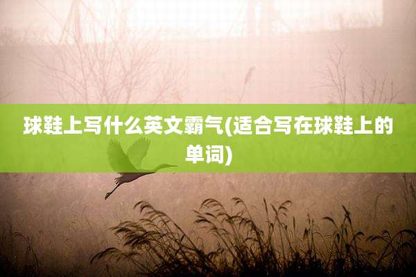 球鞋上写什么英文霸气(适合写在球鞋上的单词)