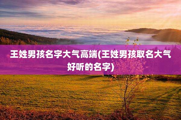 王姓男孩名字大气高端(王姓男孩取名大气好听的名字)