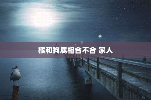 猴和狗属相合不合 家人