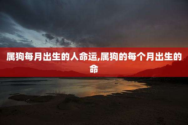 属狗每月出生的人命运,属狗的每个月出生的命