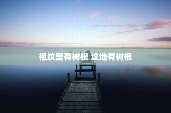 祖坟里有树根 坟地有树根