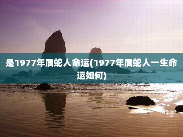 是1977年属蛇人命运(1977年属蛇人一生命运如何)