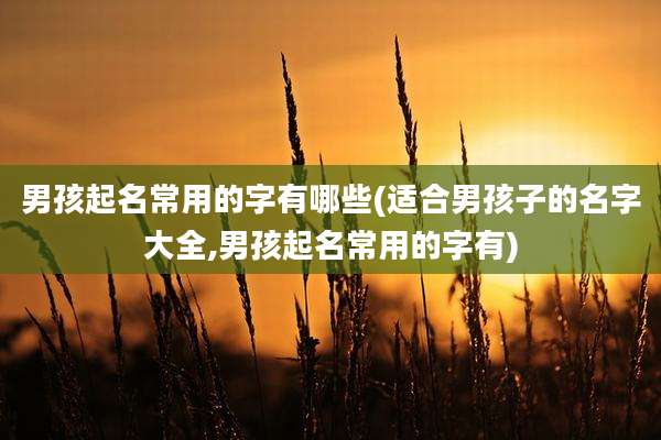 男孩起名常用的字有哪些(适合男孩子的名字大全,男孩起名常用的字有)