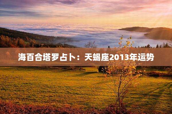 海百合塔罗占卜：天蝎座2013年运势
