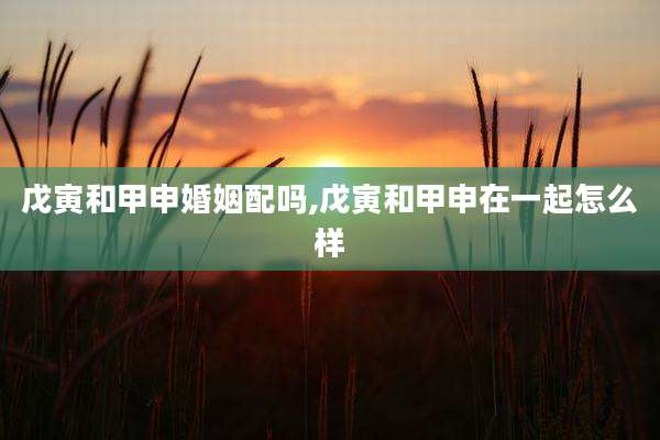 戊寅和甲申婚姻配吗,戊寅和甲申在一起怎么样