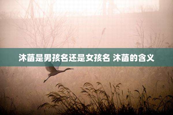 沐菡是男孩名还是女孩名 沐菡的含义