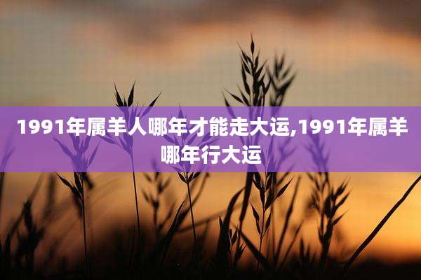 1991年属羊人哪年才能走大运,1991年属羊哪年行大运