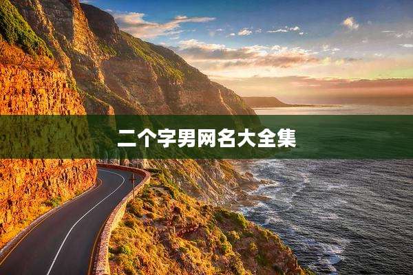 二个字男网名大全集
