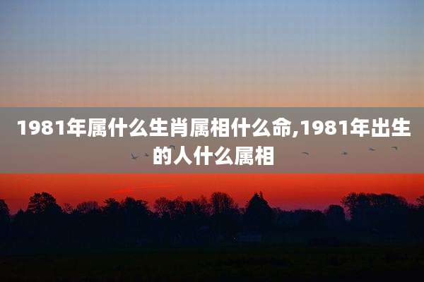 1981年属什么生肖属相什么命,1981年出生的人什么属相