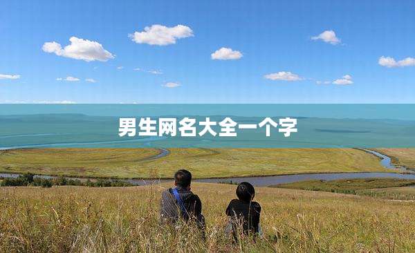 男生网名大全一个字