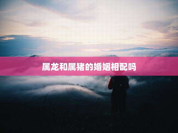 属龙和属猪的婚姻相配吗