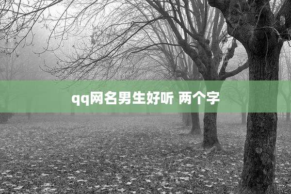 qq网名男生好听 两个字