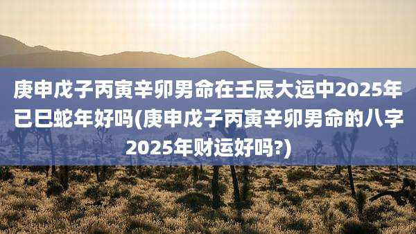 庚申戊子丙寅辛卯男命在壬辰大运中2025年已巳蛇年好吗(庚申戊子丙寅辛卯男命的八字2025年财运好吗?)