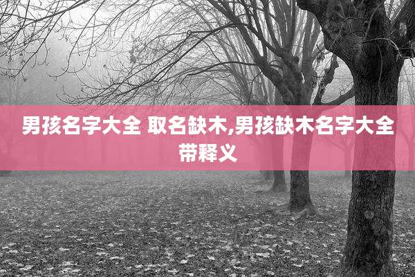 男孩名字大全 取名缺木,男孩缺木名字大全带释义