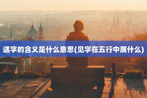 遇字的含义是什么意思(见字在五行中属什么)
