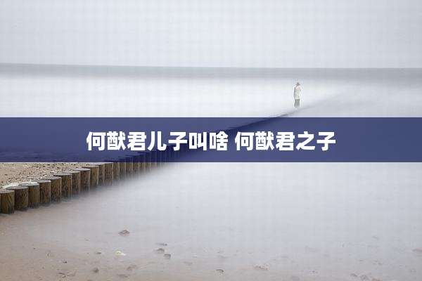 何猷君儿子叫啥 何猷君之子
