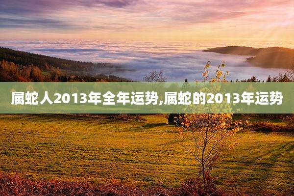 属蛇人2013年全年运势,属蛇的2013年运势