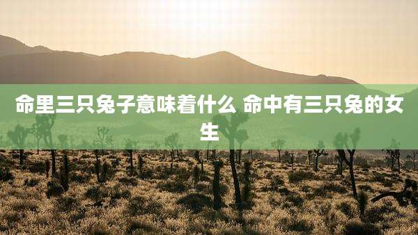 命里三只兔子意味着什么 命中有三只兔的女生