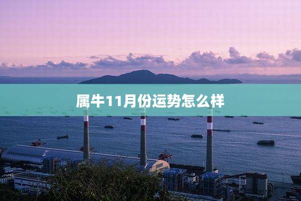 属牛11月份运势怎么样
