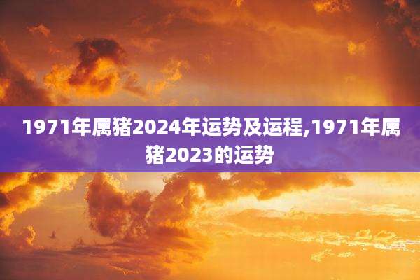1971年属猪2024年运势及运程,1971年属猪2023的运势