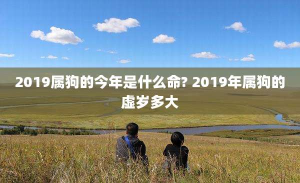 2019属狗的今年是什么命? 2019年属狗的虚岁多大