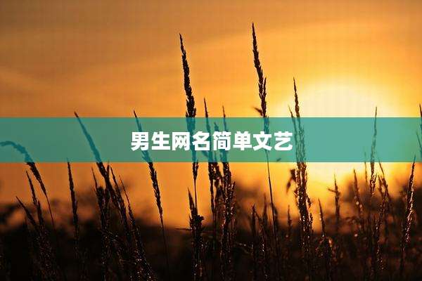 男生网名简单文艺
