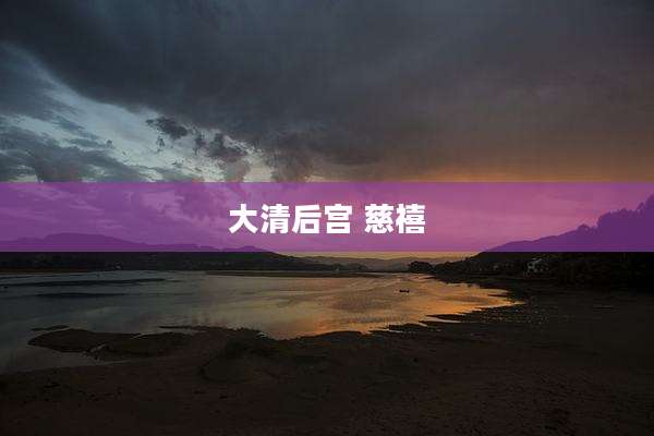 大清后宫 慈禧