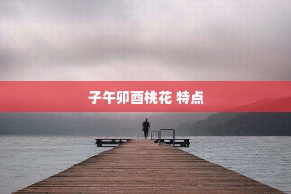 子午卯酉桃花 特点