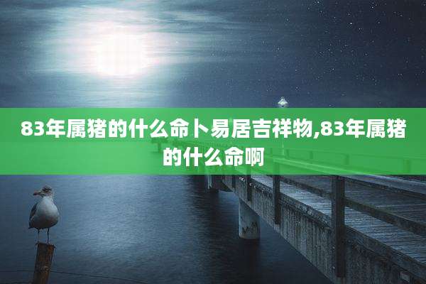 83年属猪的什么命卜易居吉祥物,83年属猪的什么命啊