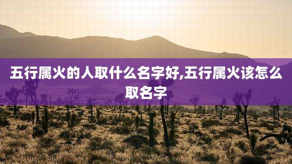 五行属火的人取什么名字好,五行属火该怎么取名字