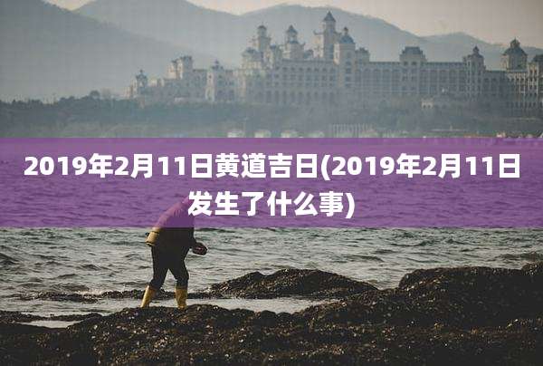 2019年2月11日黄道吉日(2019年2月11日发生了什么事)