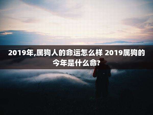 2019年,属狗人的命运怎么样 2019属狗的今年是什么命?