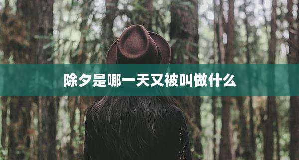 除夕是哪一天又被叫做什么