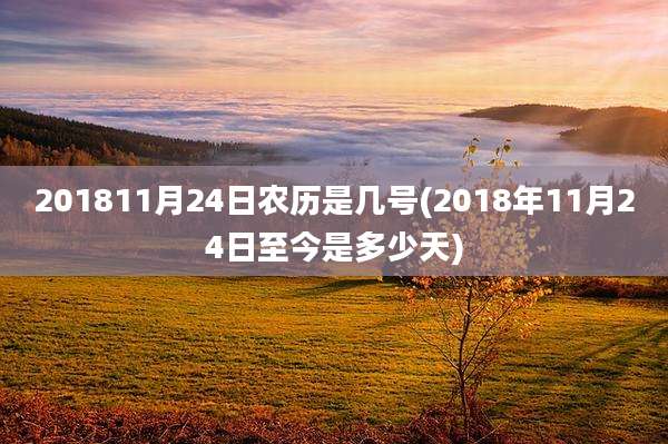 201811月24日农历是几号(2018年11月24日至今是多少天)